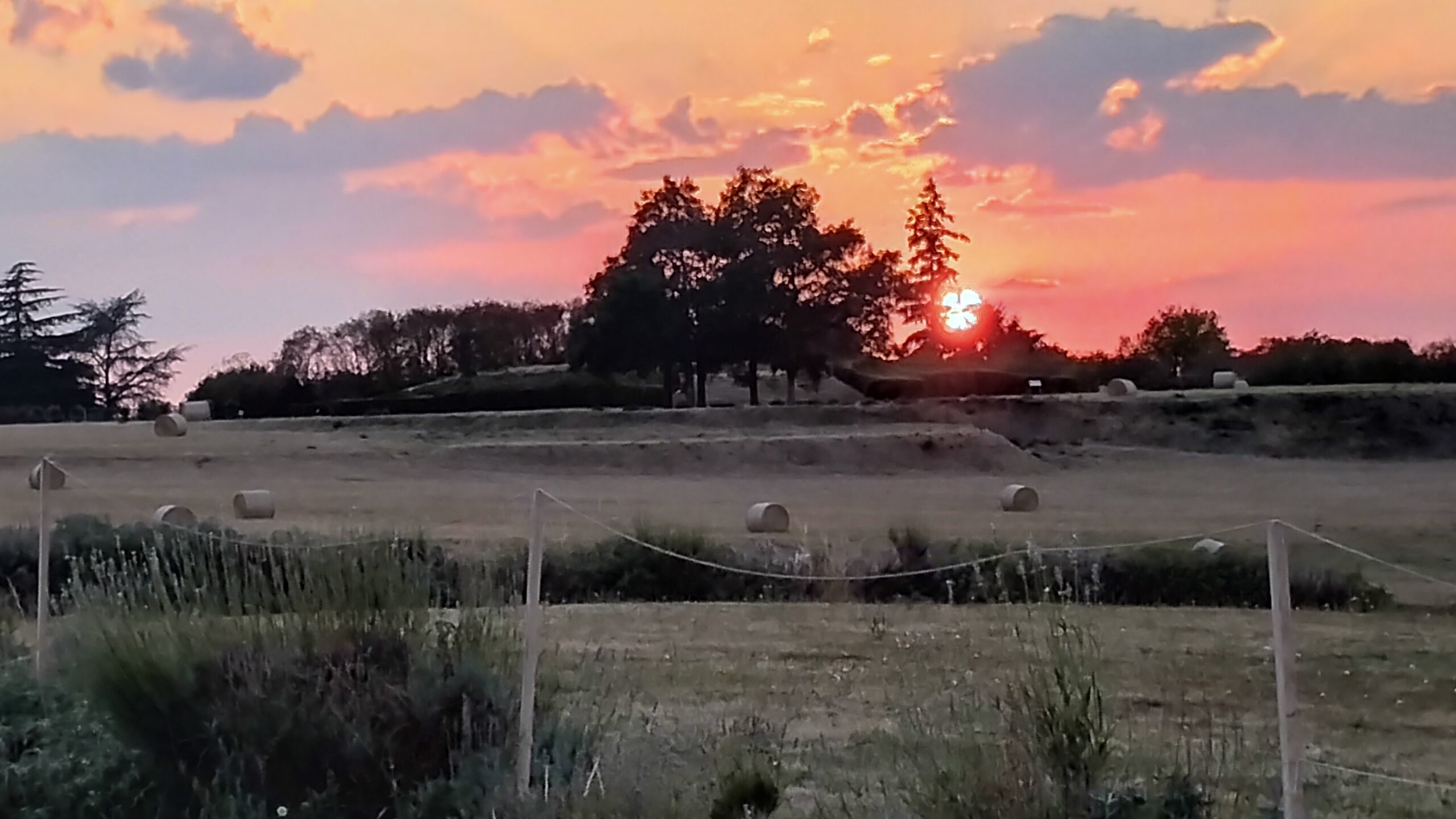 Une belle soirée sous le ciel de Cassinomagus